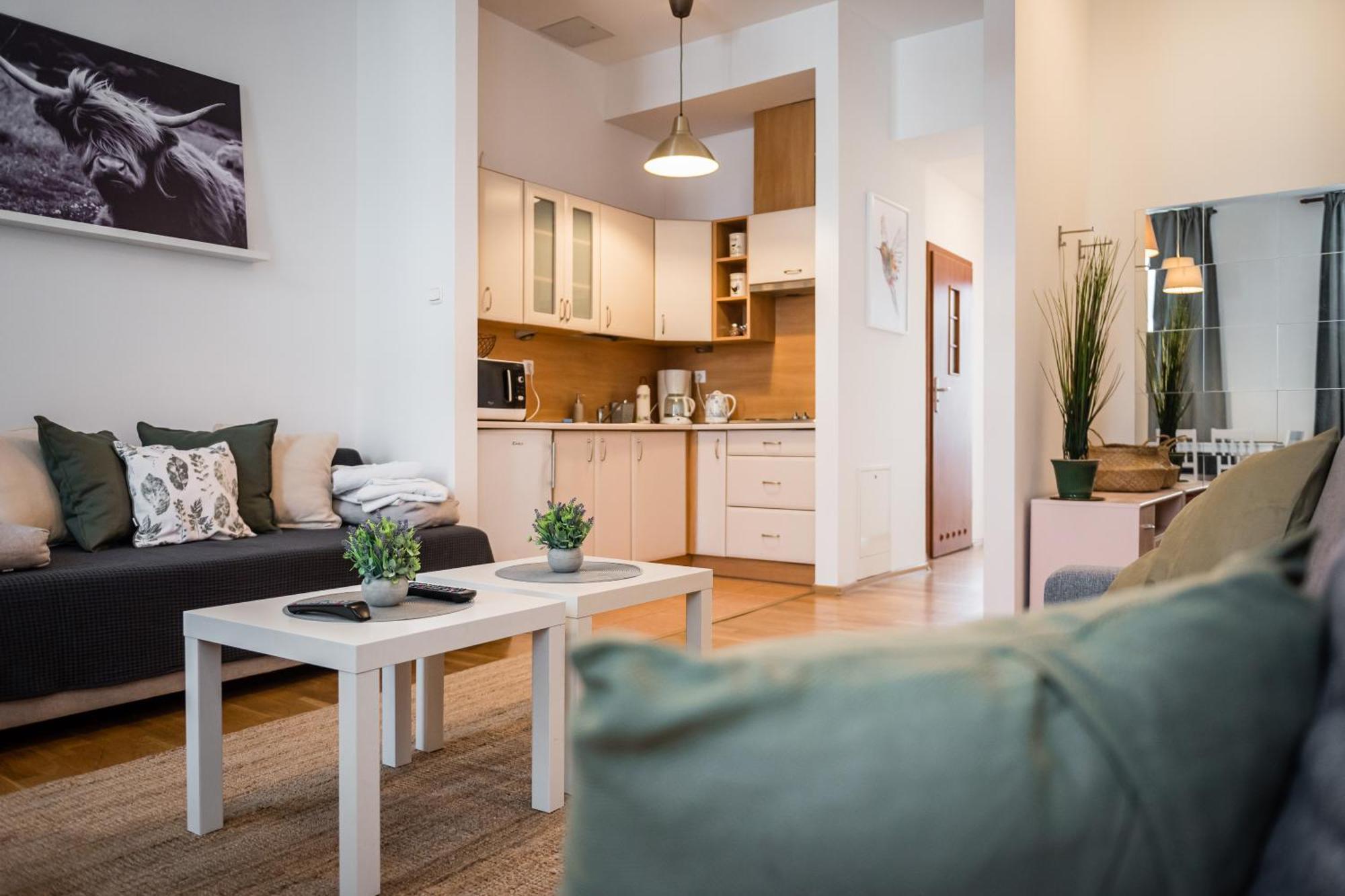Apartament Krakowska Center Wawelofts Kraków